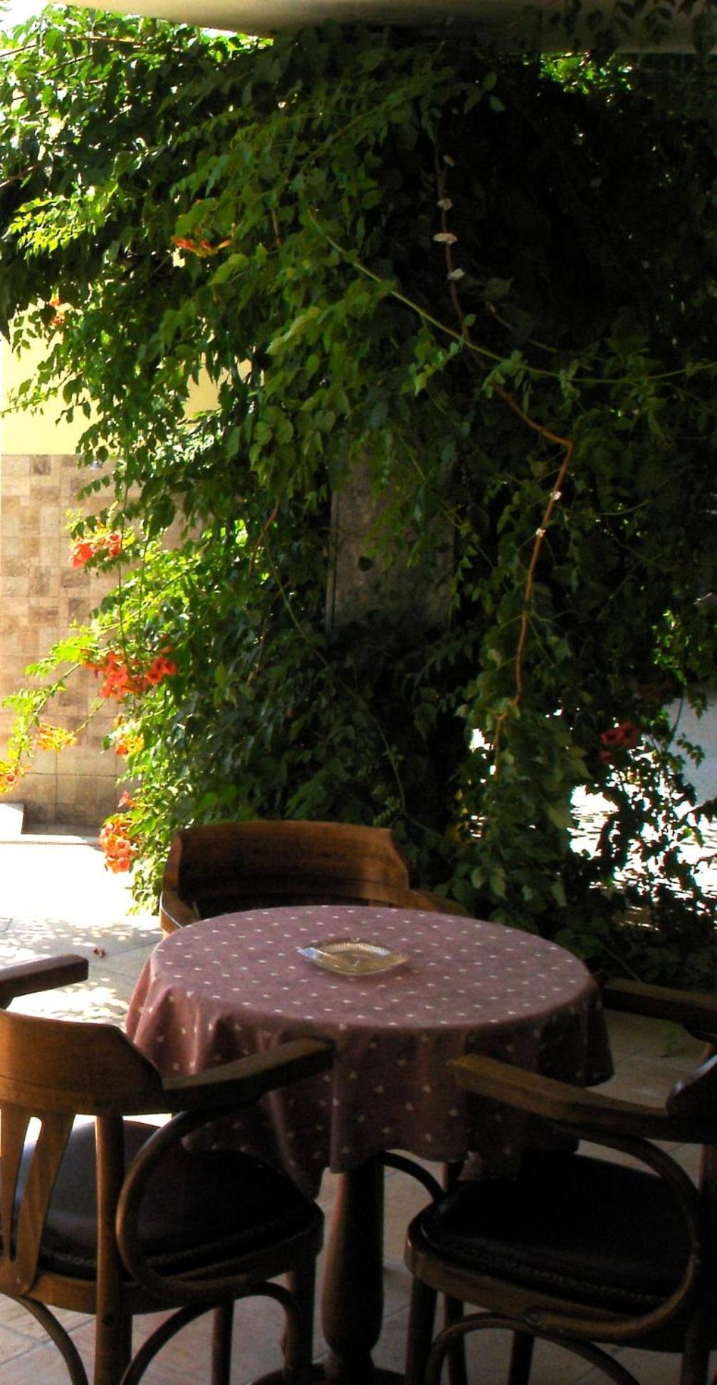 Hotel Afea Agia Marina  Dış mekan fotoğraf